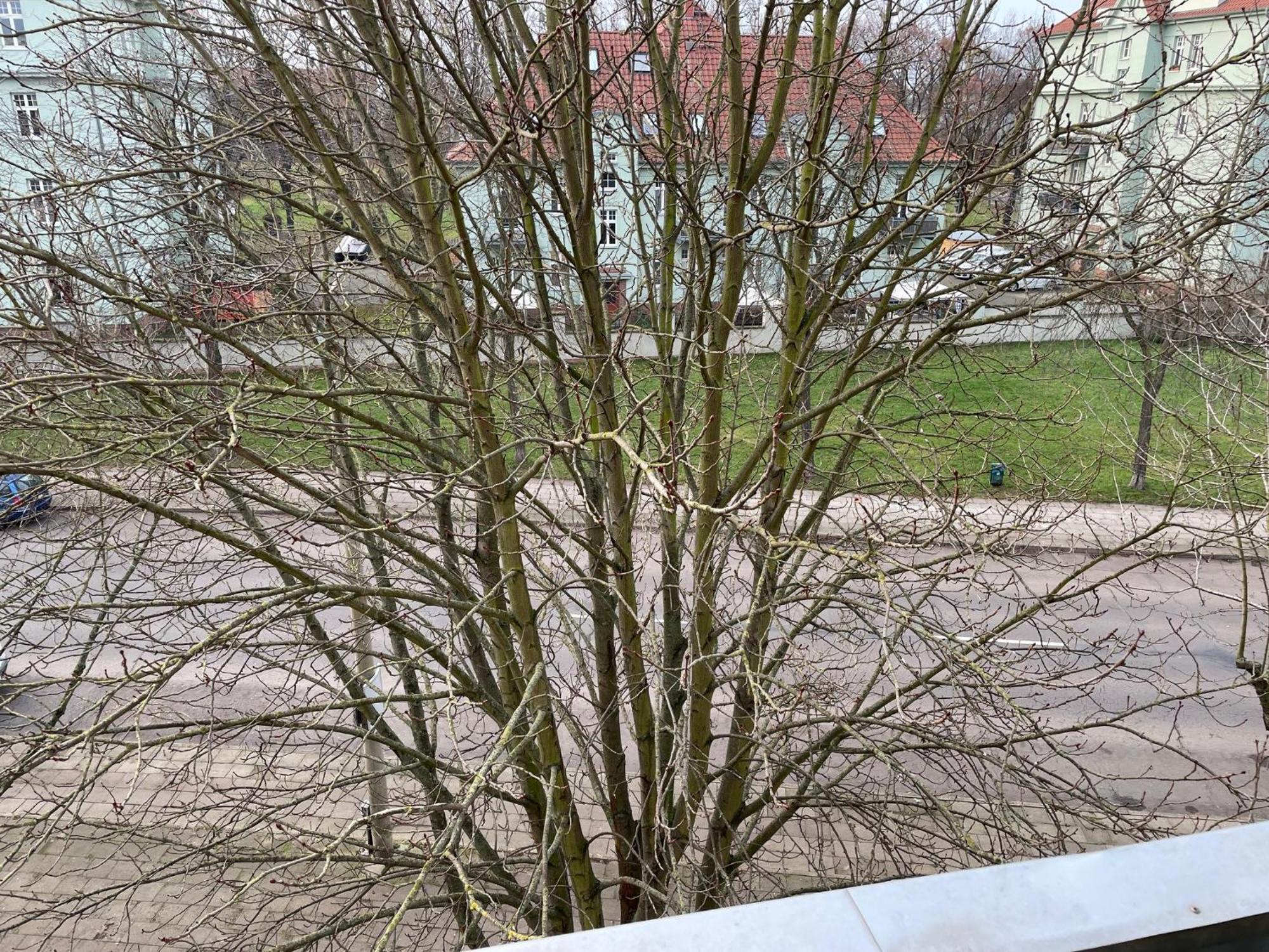 Beims Apartment-vollausstattung-kueche, Kostenlos-wfi, Smart-tv * Magdeburg